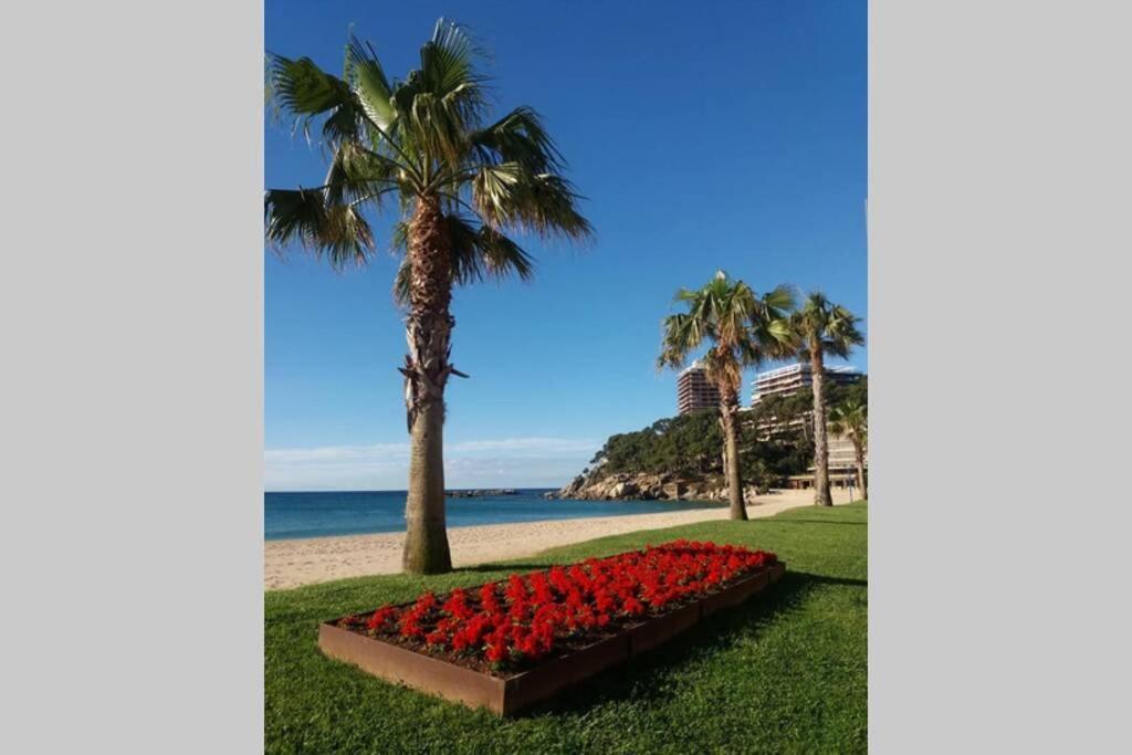 Costa Brava-St Antoni De Calonge Apartament Per Parelles I Families Petites Eksteriør billede